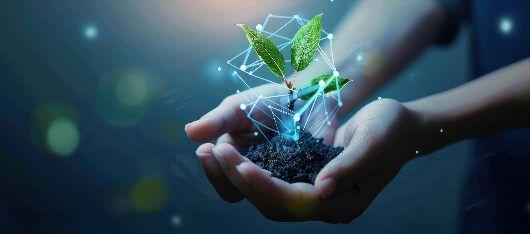 Experience and Expertise